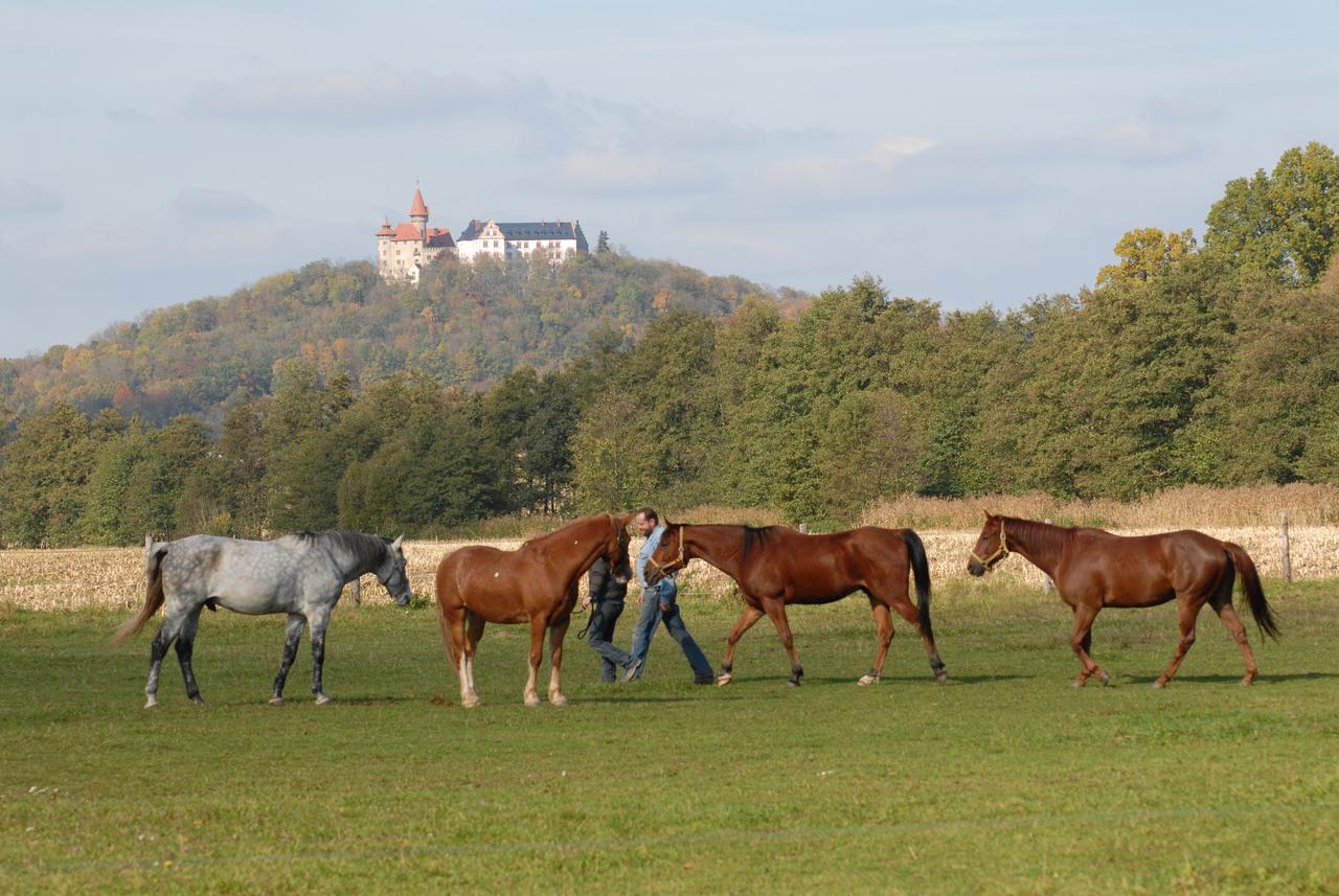 Land- Und Aktivhotel Altmuehlaue Бад Родах Екстериор снимка